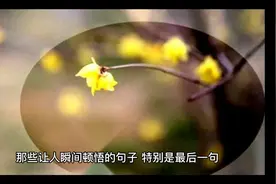 哪些让人瞬间顿悟的句子视频封面
