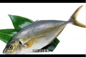 多吃这5类鱼视频封面