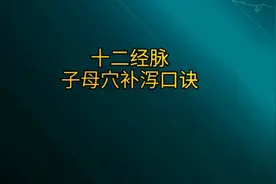 十二经脉字母穴补泄口诀