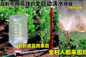 全自动浇水神器，制作简单一看就会，看完全村人都来围观学习视频封面