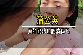 蒲公英 能治口腔溃疡小孩烂嘴长口疮视频封面