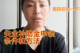 裸辞后的第一件事，失业补助金申领条件及方法视频封面