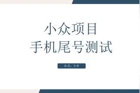 小众项目，手机尾号测试视频封面