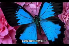 1.蝴蝶姐姐已经结婚生子，不过她暗地里和多人运动男星还是有联系视频封面