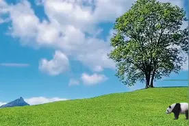 头条新手小白学习制作小动画第四天视频封面