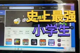 小鸡模拟器  PC模拟器正式通知收费