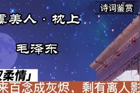 虞美人·枕上～伟人的温柔，一钩残月向西流，对此不抛眼泪也无由视频封面