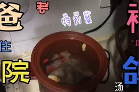 老爸住院食补靓汤：鸽子汤，核心功效：促进伤口愈合，增强体质视频封面