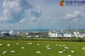 内蒙古公司白音华自备电厂: 青春向党 筑梦前行视频封面