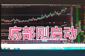 选出五只底部刚启动不久的优质股票长线持有视频封面