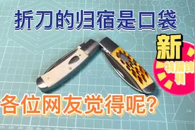 性价比不错的骨柄口袋折刀，折叠刀的归宿是口袋刀，你认同吗？视频封面