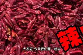 最辣的十种食物
