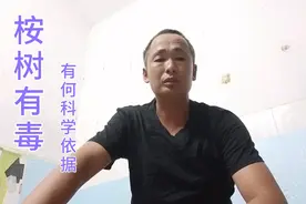 广西种桉树全国最多，都说污染环境有毒，到底有何科学依据？视频封面