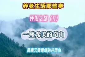 一部风光大片。晨曦云雾下的井冈山，秀丽的奇山！大美了！视频封面