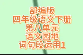 部编版四年级语文下册第八单元语文园地词句段运用1视频封面