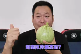 嫩南瓜炒着吃升糖高吗？正确吃法是怎样的？糖友老王验证一下！视频封面
