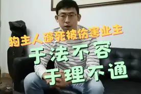 武汉“狗主人”逼死被狗咬业主！不严惩不足以平民愤！视频封面