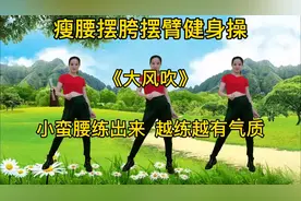 瘦腰摆胯摆臂健身操《大风吹》Dj版，魔性的旋律，越摇越美视频封面
