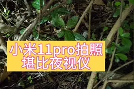 小米11pro-夜景拍照无敌视频封面