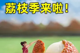 荔枝的王者吃法，快学起来哇！视频封面