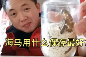 海马怎么保存最长久？看看我的保存方法可行不？视频封面