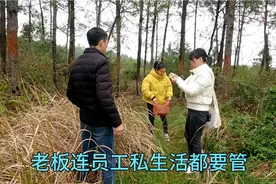 老板自以为是，连员工的私生活都要管，真的太招人恨了