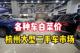 杭州二手车市场，奔驰宝马奥迪扎堆白菜价，不亲眼所见不敢相信！视频封面