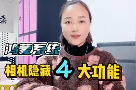 华为手机鸿蒙系统实用技巧系列：相机隐藏的4大功能，非常好用