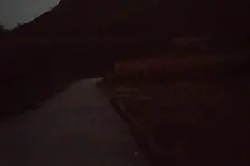 这个是野山羊的叫声吧？视频封面
