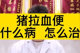 猪拉血便，是非洲猪瘟吗？还是回肠炎？怎样辩证怎样治疗？视频封面