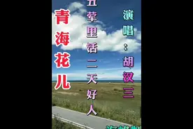 胡汉三视频封面