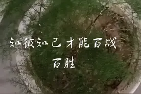 客观实在.比郊现实视频封面