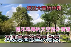 经过大雨的冲刷，周末珠海的天空格外清澈，又见美丽的蓝天白云