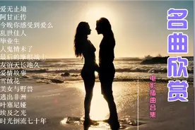 奥斯卡金奖·电影主题曲(纯音乐)15首合集
