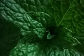 智能手机网课（五）——支付宝的界面与使用视频封面