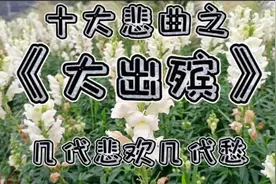 一首哭灵《大出殡》听哭了，爱悠悠恨悠悠，几代悲欢几代愁……