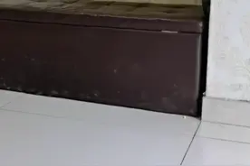 觅宝金属探测器银元筒子测试