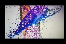 富士施乐M115b/M118/M288dw设置网络打印方法