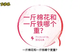 一斤棉花和一斤铁哪个重？视频封面