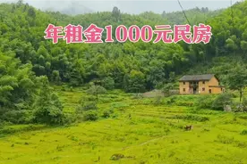 90后女老师来江西实地考察，喜欢大山环境，准备带父母定居井冈山