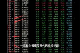 教你识别股票代码