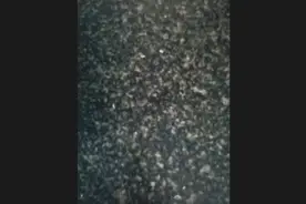 习惯性挣扎一下！生活就是这样子的啦！视频封面