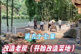 改造农村老房，租块地建一个菜园子，光材料6个人就搬运了一整天视频封面