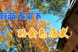 金秋阳光下美得令人心醉的苏维埃政府大礼堂视频封面