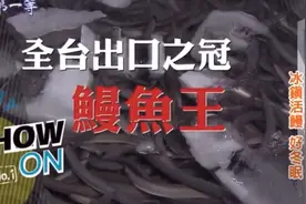 男人补品鳗鱼王 远销世界视频封面