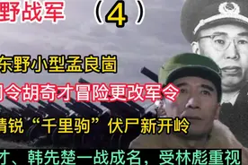胡奇才擅改军令，率四纵斩获杜聿明千里驹，副司令韩先楚一战成名视频封面