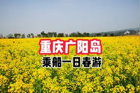 重庆的春天来了，但马上又要走了，周末广阳岛踏青一日游视频封面