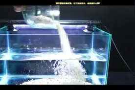 鱼缸里这样种一根红薯    实用又好看视频封面