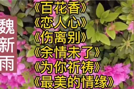 魏新雨经典歌曲《百花香》《恋人心》《余情未了》《最美的情缘》
