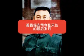 潍县保安司令张天佐的最后岁月视频封面